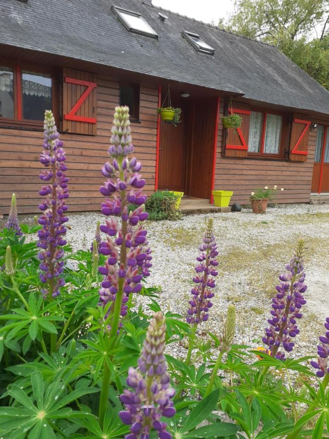 Chez Christine Acomodação com café da manhã Noyal-Pontivy Exterior foto